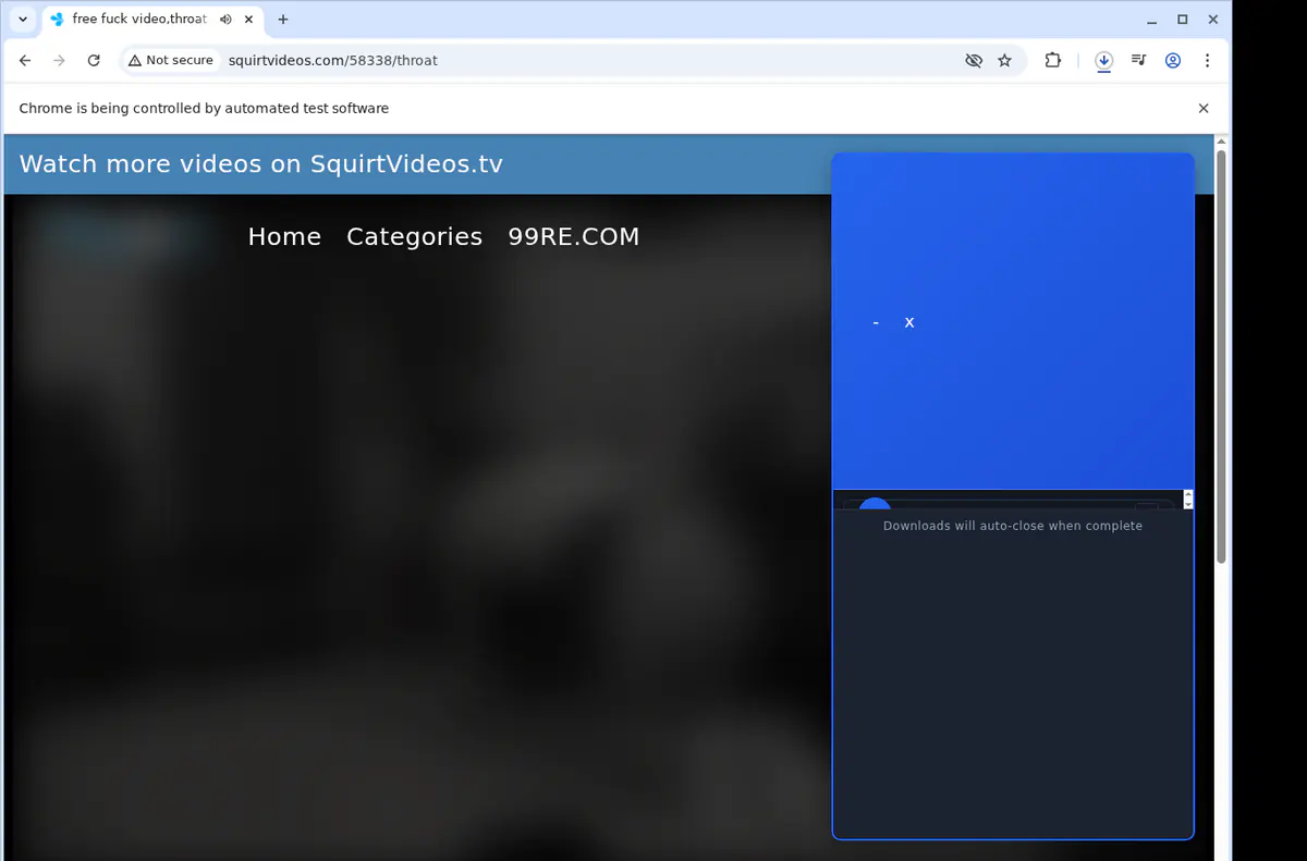 Squirtvideos Video Downloader browser extension screenshot 2