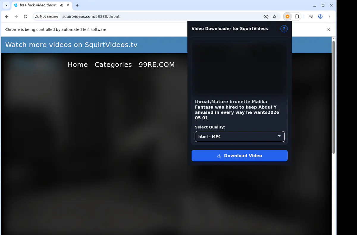 Squirtvideos Video Downloader browser extension screenshot 3